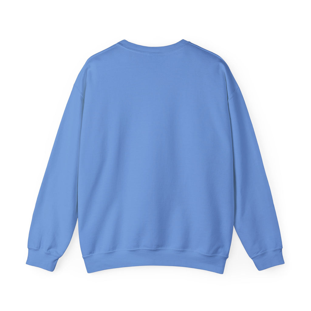 Baseball Leopard Graphic Sweatshirt | Retro Rock Cat with Sunglasses